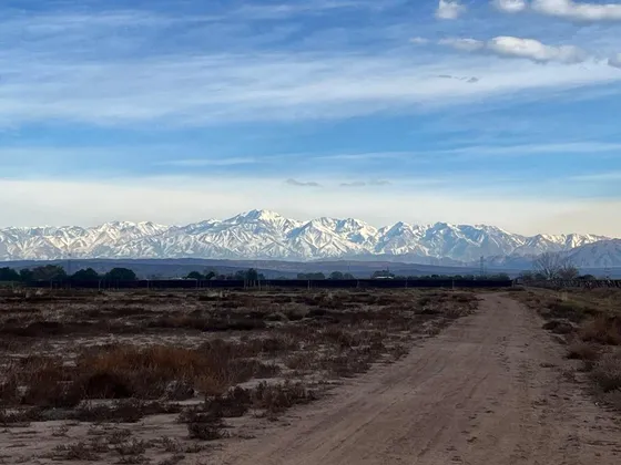 50ha De Finca Productiva En Venta