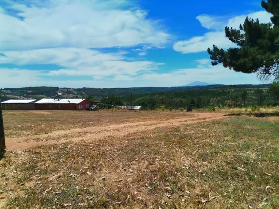 Terreno Agrícola En Venta En Talermo, Concepción