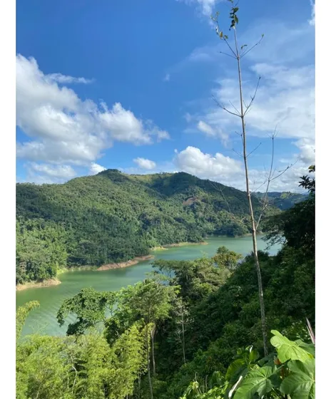 Venta Lote En Norcasia, Caldas 10.000m² | Lotes En Venta En Norcasia