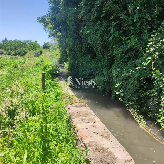 Agrícola En Venta En Rengo