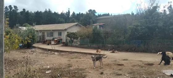 Vendo Terreno De 2.000 M2 Con Pozos En Placilla De Peñuelas 