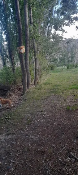 Terreno En Venta - 6.500mts2 - Mendoza