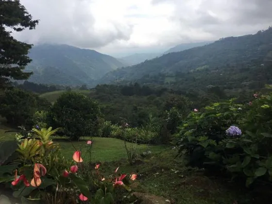 Finca Campestre En El Km 18: El Paraíso Del Avistamiento De Aves En Cali