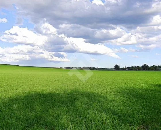 Campos En Venta En La Región De Los Lagos