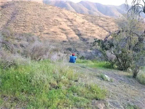 Sitio En Venta En Curacaví