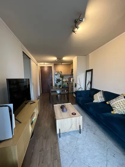 Arriendo Departamento 1d 1b 1 Est 1 Bodega, Plaza Egaña