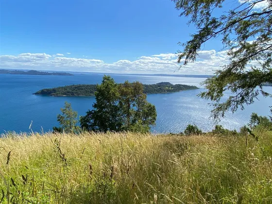 Parcela En Venta Desde 5.000m2. En Futrono