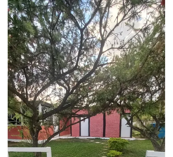 Global Vende  Mini Finca En La Yaguara, Fundo La Esperanza, Vía Barrera