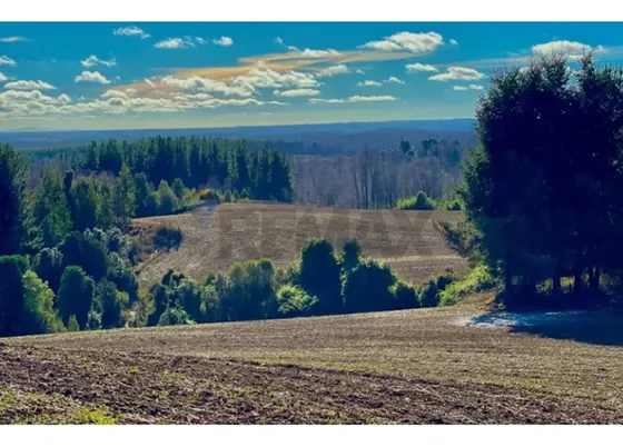 Terrenos 5.000 M² Cerca De Corralco, Curacautín.