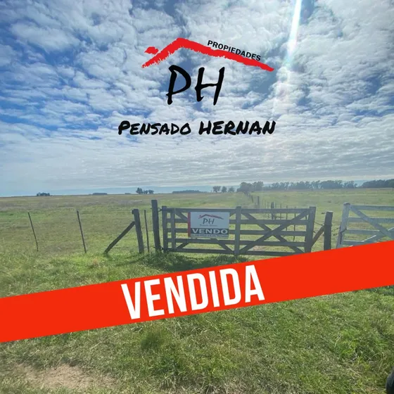 Vendida | Quinta De 5 Hectáreas En Crotto