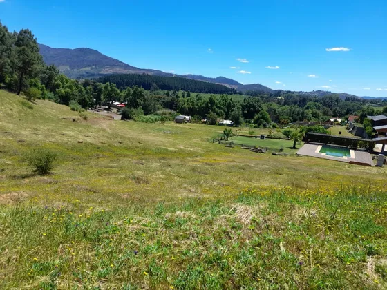 Se Vende Parcela De 2 Ha Aprox. Entre Quillón Y Nueva Aldea.