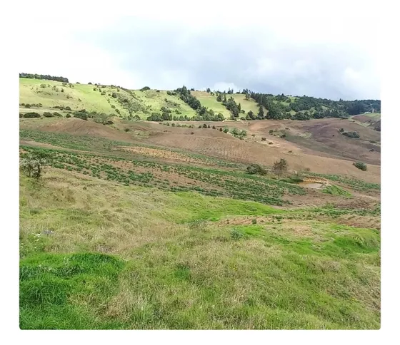 Venta Finca Choconta 