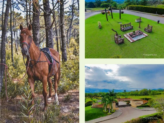 Venta De Lotes De 10 Mil Metros En Cerritos Pereira 