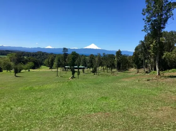 Parcela En Frutillar Con Vista Y Acceso Al Lago
