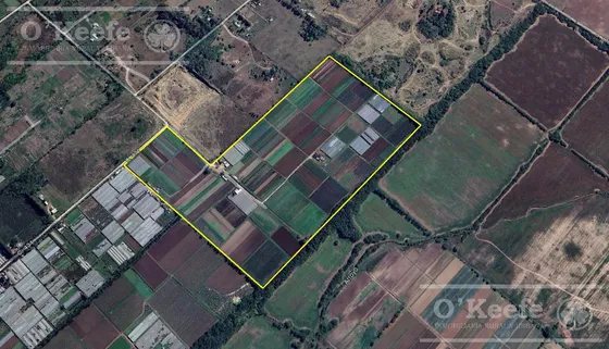 Chacra En Venta Horticola De 36 Has, La Plata - Arturo Segui