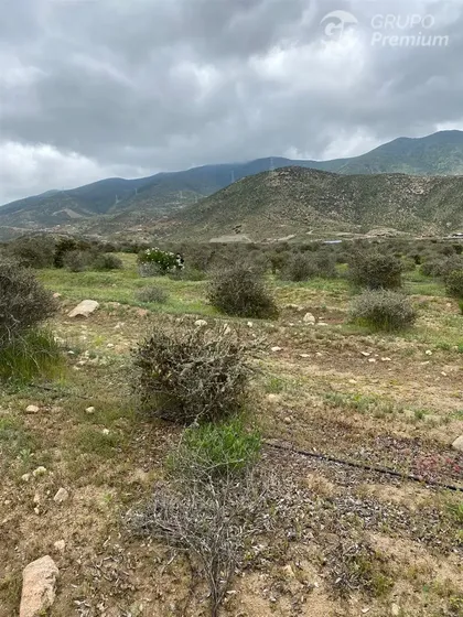 Venta Parcela 5037 M2 La Serena (valle Del Elqui)