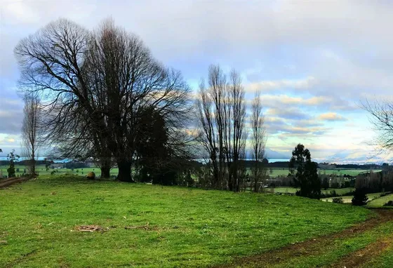 Gran Oportunidad Parcela Lago Ranco Sector Ignao 5000 M2