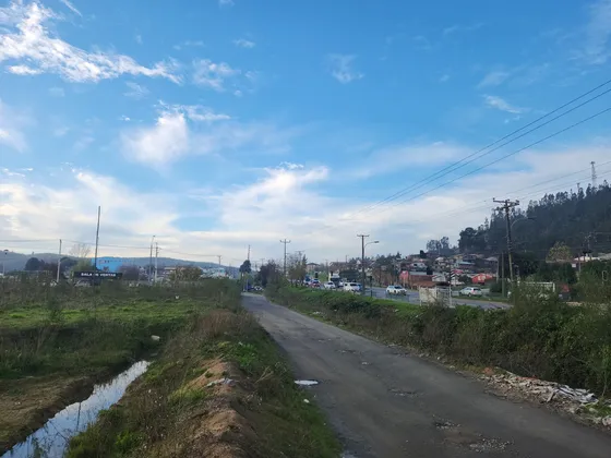 Venta  Loteo Comercial En Penco Id 50.321-lin