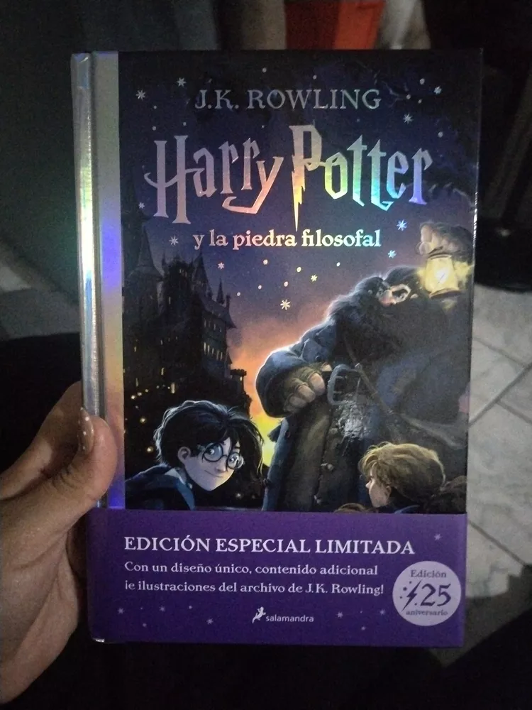 Salamandra lanza la edición limitada de 'Harry Potter y la piedra  filosofal' por su 25 aniversario - Why Not Magazine