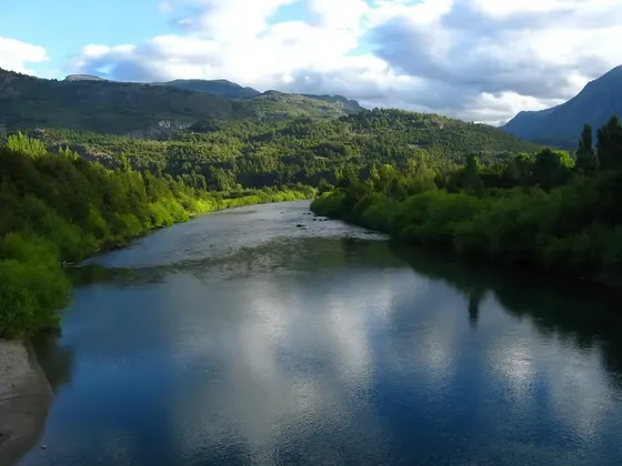 Orilla Río Palena, Carretera Austral, 60 Ha. Oportunidad !