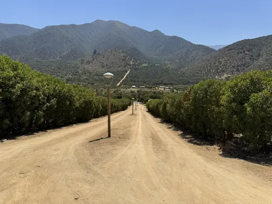 Parcela En Olmué, Naturaleza, Privacidad, Tranquilidad