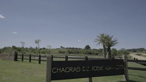 Terreno En Venta En José Ignacio