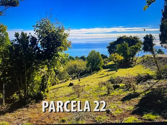 Parque La Ballena , Parcela 