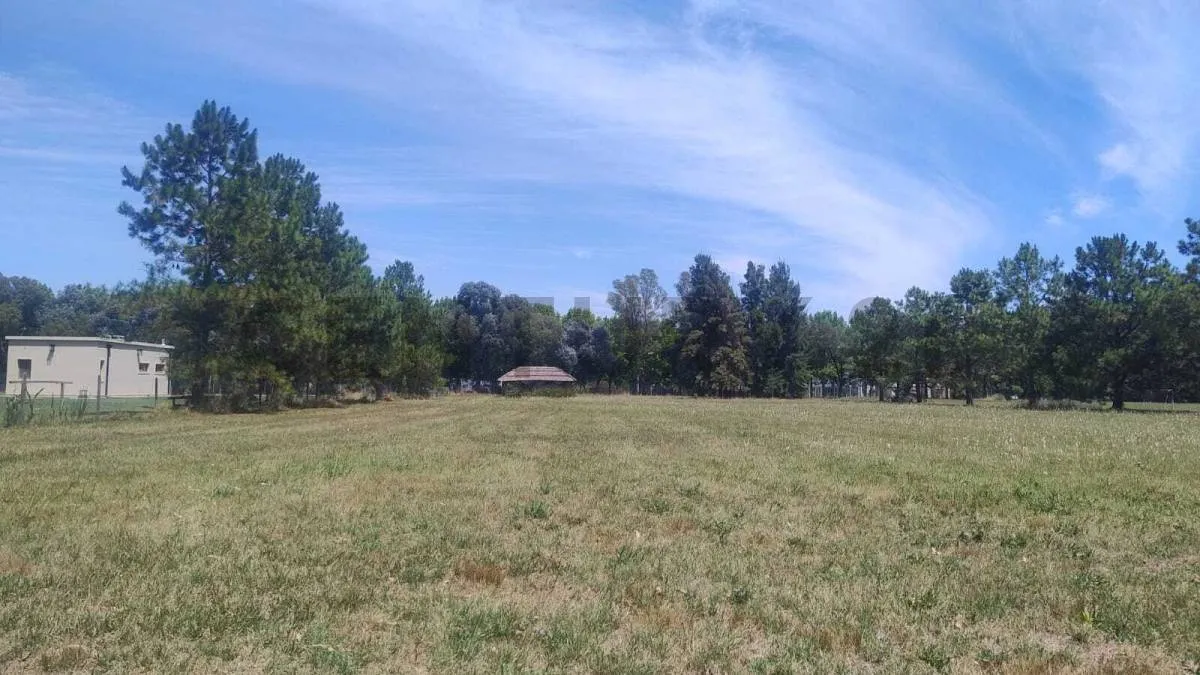 Venta Lote 7.755 M² En Chacras Del Nacional, Gral. Rodriguez