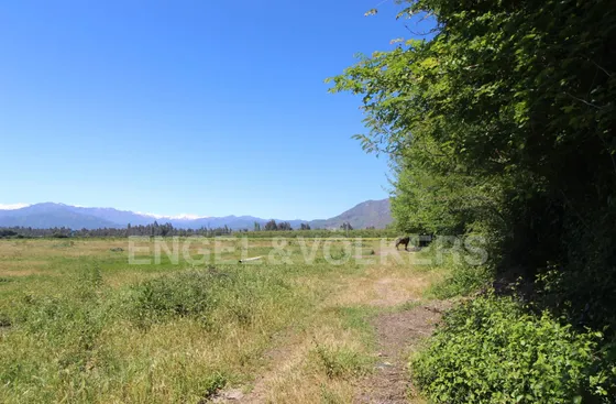 Terreno En Arriendo  8.3 Ha En Machalí