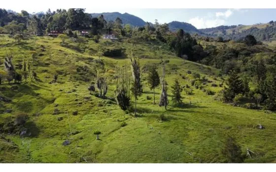 Lote En Venta. Parcelacion Campestre Poblado De San Felix