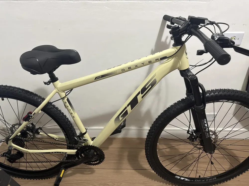 Bicicleta Gts Dexter 21v Aro 29 Shimano Freio Hidraulico Cor Bege