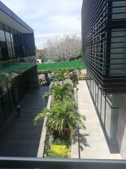 Local En Renta En Chapultepec, Cuernavaca, Morelos