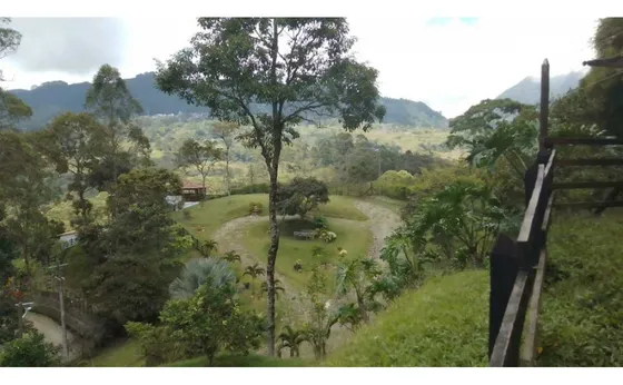 Lote Con Excelente Topografía,zona Cafetera En   Fredonia