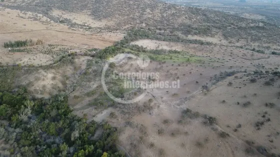 Agrícola En Venta En Illapel