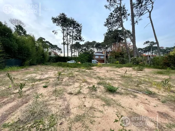 Venta Terreno 1000m2 En Punta Del Este 