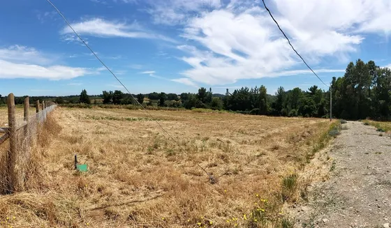 Sitio En Venta En Freire