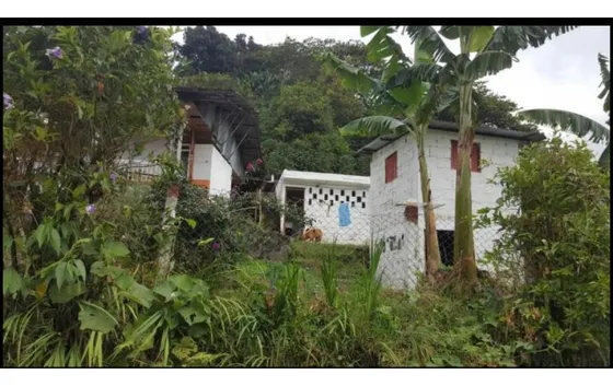 Finca Para La Venta Vereda El Chocho