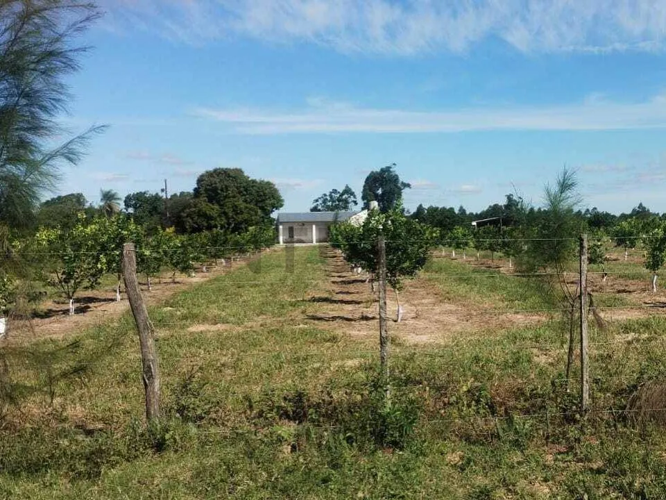 Farm and House for Sale, with Lemon Orchard. Bella Vista, Corrientes.