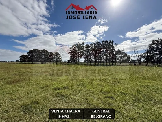 Chacra De 9 Hectáreas En Venta. - A 260 Metros De Ruta 41. General Belgrano, Provincia De Buenos Aires.  Además A 1,5 Km De La Zona Urbana De La Ciudad.