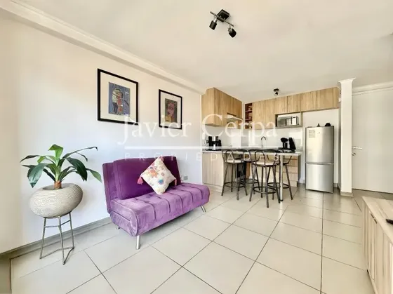Arriendo Depto. Amoblado Sector Norte
