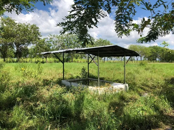 Finca Ganadera Y Avicola