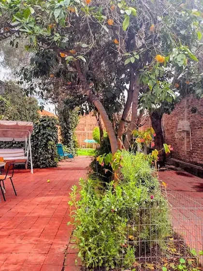 Oportunidad! Casa Solida Gran Terreno 464 M2