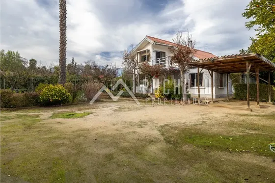 Olmué, Parcela 5000 Mt Con Casa, Bodegas Y Sala De Manufactu