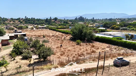 Parcela 5.000 M2 En Venta, Puchuncaví. (100123)