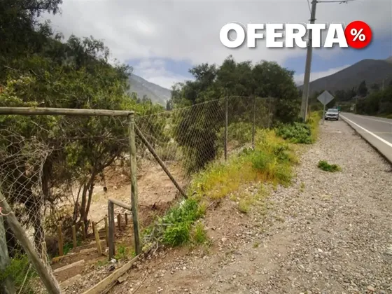 Sitio En Venta En Vicuña
