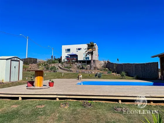 Totoralillo