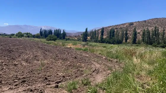 Vendemos Hás En Calle Larga Cercano A Rinconada De Los Andes