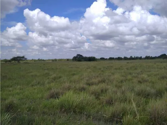 Finca De 1.410 Has En Guarico Para Actividad Agropecuaria.
