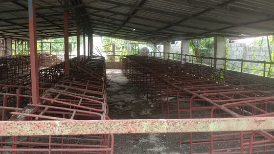 En Venta Granja De Cerdos, Santo Domingo Norte
