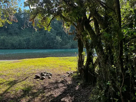 Agrícola En Venta En Lago Ranco